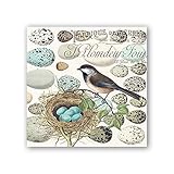 Michel Design Works 20 Count 3-Ply Paper Cocktail Napkins, Nest & Eggs