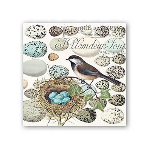 Michel Design Works 20 Count 3-Ply Paper Cocktail Napkins, Nest & Eggs