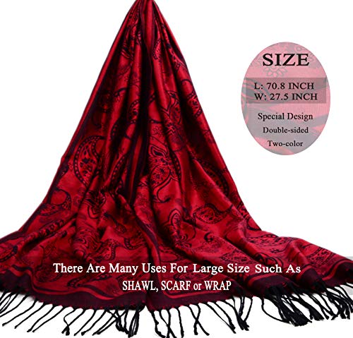 Women's Pashmina Shawl and Wrap Two Tone Ethnic Paisley Pattern Scarf 70.8'X27.5'2