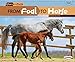 Produktbild From Foal to Horse (Start to Finish: Nature's Cycles)