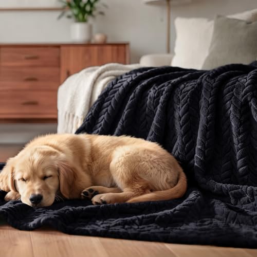 Image of Exclusivo Mezcla Soft Fleece Bed Blanket Queen Size, 90 inchx90 inch, Black