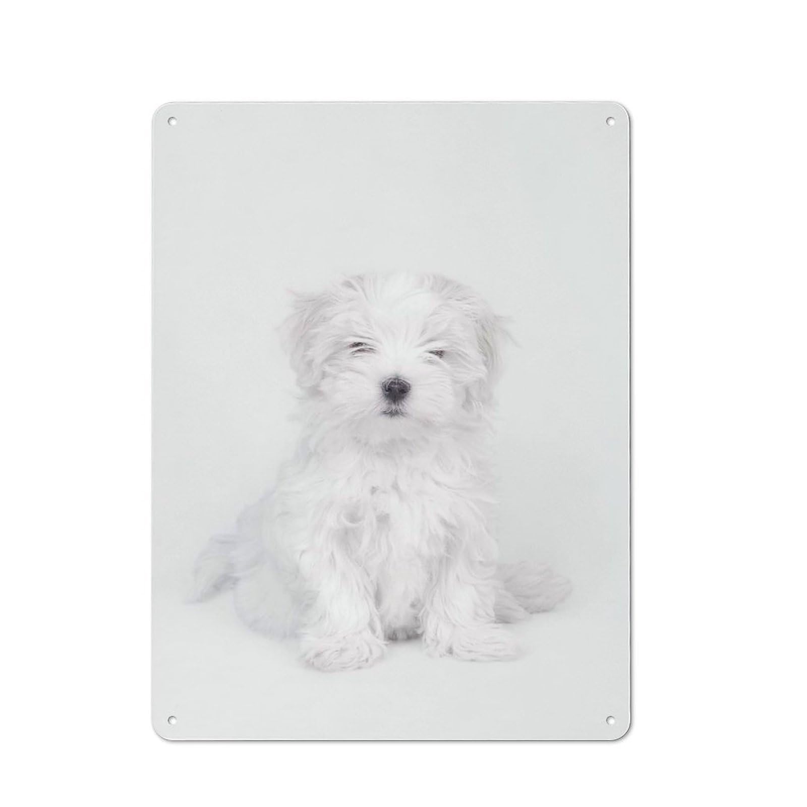 Junmoney Style-2 Vintage Tin Sign 40X30cm With Maltese Dog Puppy For Guest Room Or Hallway, For Retro Home Interiors, For Garage And Workshop Walls