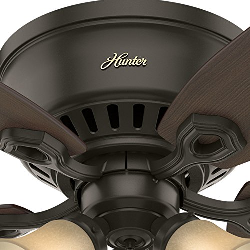 Image of Hunter Fan 52 inch Low Profile Ceiling Fan in New Bronze with Toffee Glass Light Kit, 5 Blade (Renewed)