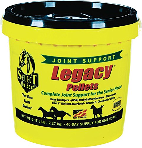 Best Joint Supplement For Horses 2020 Reviews: Glucosamine, ASU, MSM