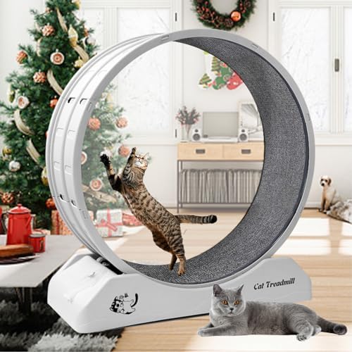Keyzone Cat Exercise Wheel, 31.5 Inch for Indoor Cats, Treadmill With Carpeted Runway for Daily Exercise and Weight Loss, Plastic