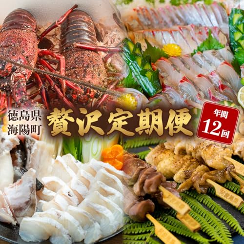 [定期便全12回]海陽町の『贅沢』定期便 阿波尾鶏 鍋セット 焼鳥 骨付き地鶏 水炊き クエ クエ鍋 黒毛和牛 ローストビーフ 牡蠣 アマダイ シマアジ 鮎 アオリイカ 伊勢海老 イセエビ いせえび