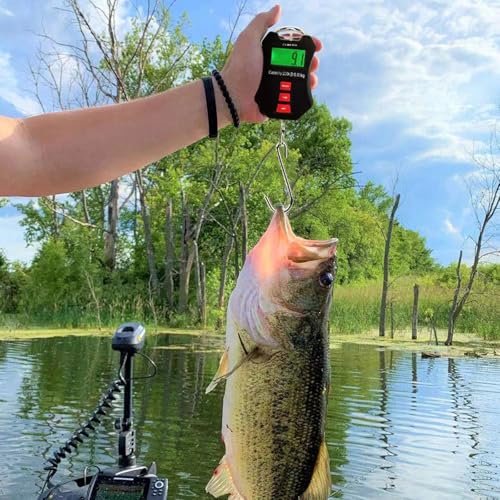 Image of 440lb /200kg Digital Crane Scale - Compact LCD Handheld Hanging Scale for Garage, Farm, Hunting, Fishing & More(200kg /Black)