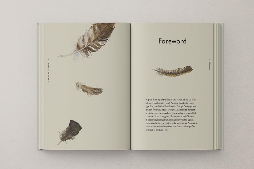 The Book of Birds: The #1 Sunday Times bestseller from the authors of award-winning phenomenon The Lost Words