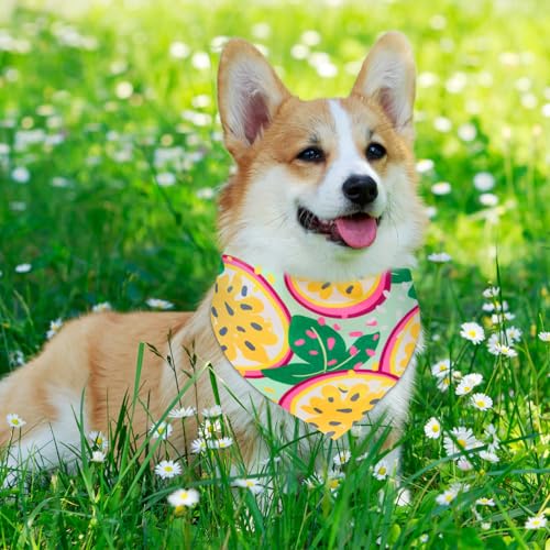 Sanwuta 72 Pcs Dog Bandana Bulk Washable Puppy Triangle Scarfs Cat Bandanas Adjustable Soft Cute Pet Triangle Bibs Accessories for Small Medium Dogs Cats Pets Costume(Summer Pattern) by Sanwuta - Image 7