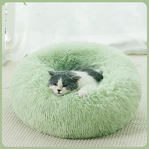 Tapis de Propreté Jetables Round Cat Bed Dogs Bed House Kennel Pet Mats Soft Long Plush Mat Pet Warm Basket Cushion Cats House Sofa Machine Wash Kennel Tapis de Propreté Réutilisables ( Color : Fruit