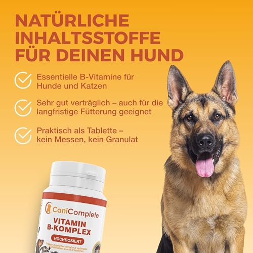 CaniComplete Vitamin B Komplex Hund – Mit B1, B2, B3, B5, B6, B9, B12 & – Multivitamin für Energiestoffwechsel, Nerven & Vitalität – Made in Germany