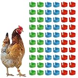 AYVRUOP hühnerringe,Geflügel Band, Plastikgeflügel Beinringe,60 Stück, leicht und langlebig, geeignet für Hühner, Enten, Tauben und andere Kleintiere