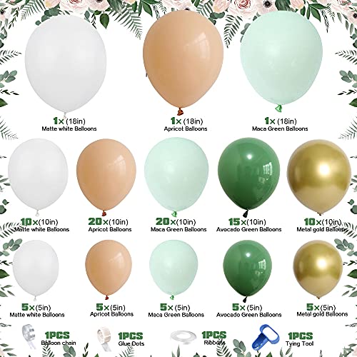 Ballon Boog Salie Groen, Ballon Garland Arch Kit Avocado Groen Mint Groen Wit Goud Latex Ballonnen Pack 103 stks voor… - Image 5