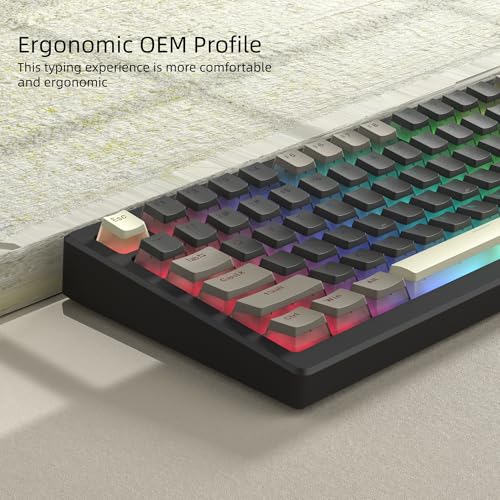 Image of Womier PBT Shine Through Keycaps for Mechanical Keyboard, Pudding Keycaps | Keycaps 60% 75% 100% Keyboard 143 Keys,Custom Keycap Set OEM Profile for Gateron Cherry MX Switches,Grey Brown-Only Key caps