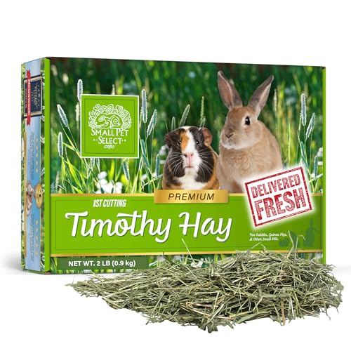 Small Pet Select 1st Cutting Timothy Hay Animal Food for Guinea Pig Rabbit Hamster Bunny or Chinchilla Natural Hay Grown in the USA 2lb