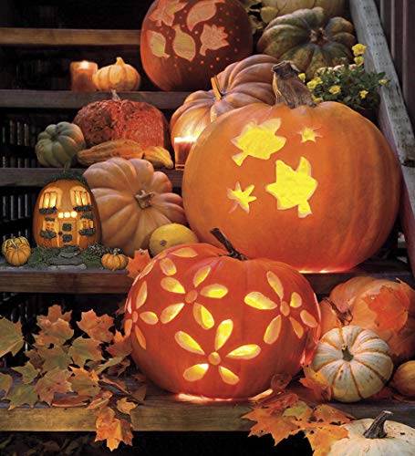 Halloween Pumpkin Carving Tools,Jack-O-Lanterns 13 Piece Professional pumpkin cutting carving supplies tools Kit… - Image 8