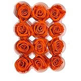 ubicar MUNDO ETERNO Rosas Naranjas 12 Unidades 3-4CM PRESERVADAS