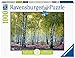 Ravensburger Puzzle, Puzzle 1000 Pezzi, Bosco di Betulle, Puzzle per Adulti, Nature Edition, Puzzle Paesaggi, Puzzle Ravensburger - Stampa di Alta Qualità