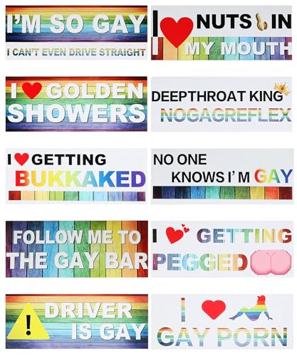 bylikeho 10Pcs Car Stickers Magnetic Bumper Stickers Car Accessories Funny Bumper Sticker Automotive Stickers Reusable Bumper Stickers Suitable for All Cars Trucks Motorcycles Etc
