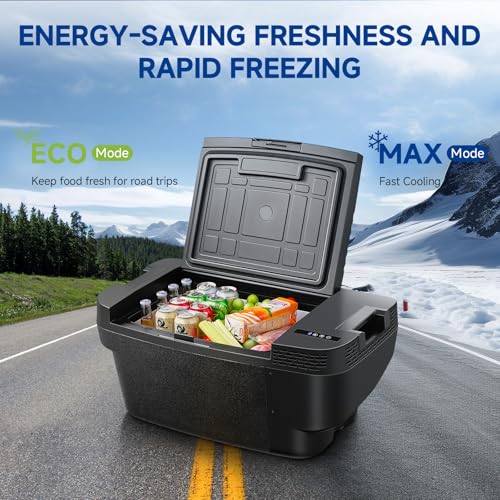 Portable Electric Cooler for Camping