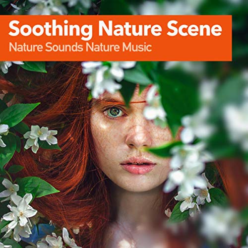 Soothing Nature Scene Nature Sounds Nature Music Digital