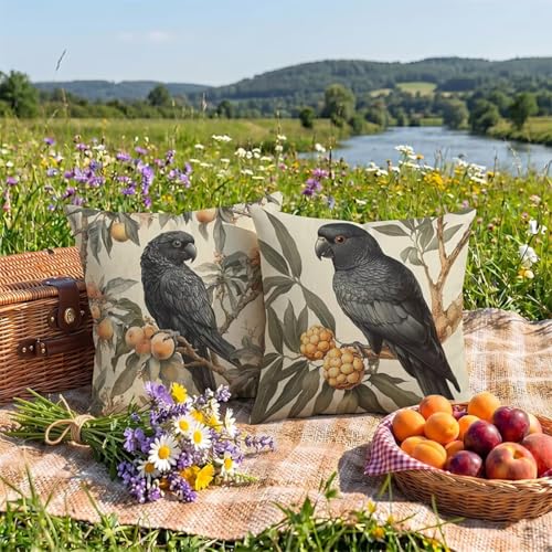 50x50 cm �N�b�V�����J�o�[�h�����O�p?��?�� �������k�� ri�l��? 2??���ʓ��� �B��uf�@suna�[�t �\fu�@�w���� �E�g�h�A ��x���`�������p���J�o�[ ���z�c�J�o�[ ����\ �� 0z-329