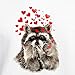 CafePress Raccoon Blowing Kisses Cute Animal Love Hoodie SWE Men's Light Regular Fit Hoodie Sweatshirt White