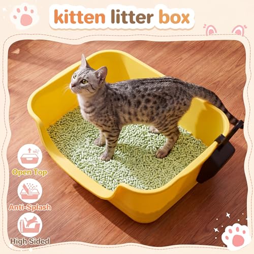 Bokon 2 cajas de arena para gatos pequeñas con pala miniatura 6