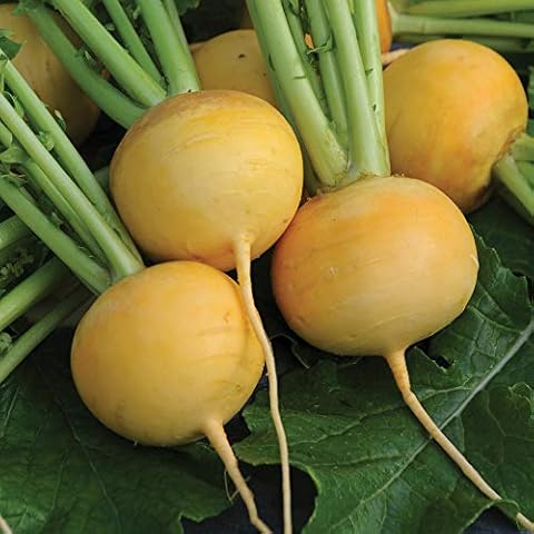 Thompson and Morgan Golden Ball Turnip Seeds Cover