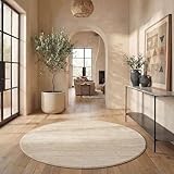 SAFAVIEH Adirondack Collection...image