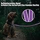 Demigreat Schleppleine für Hunde, 3m / 5m / 10m / 15m / 20m Robuste Lange Hundeleine Reflektierend Trainingsleine mit Gepolsterter Griff und handschlaufe, Ausbildungsleine für Kleine bis Große Hunde