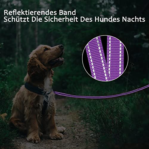 Demigreat Schleppleine für Hunde, 3m / 5m / 10m / 15m / 20m Robuste Lange Hundeleine Reflektierend Trainingsleine mit Gepolsterter Griff und handschlaufe, Ausbildungsleine für Kleine bis Große Hunde