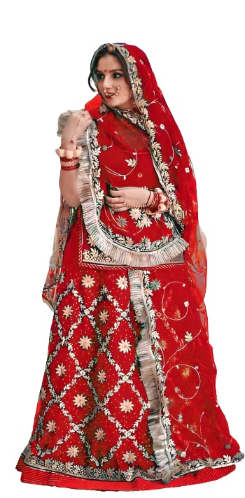 Image of Women's Embroidered Vichitra Silk Ethnic wear Semi-stitched Lehenga Choli With Dupatta Set (S-THG 415279)