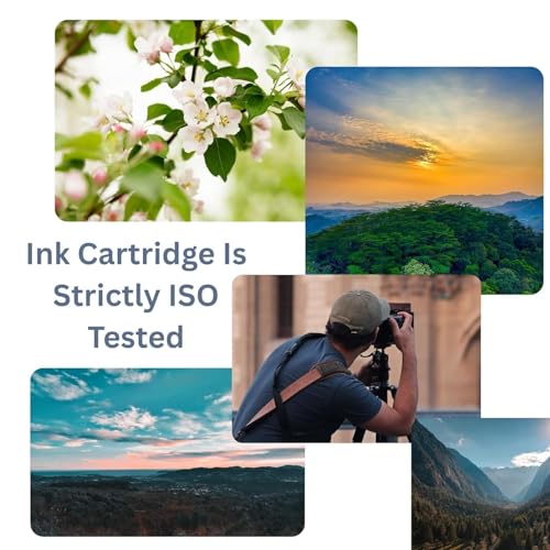 Image of Compatible Ink Cartridge E-372 for Epson PM-520 and T-372, Photo Printing with Chip Installed