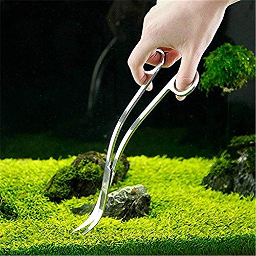 Faneli 25 cm Edelstahl Gebogene Spitze Schere für Aquarium Wasserpflanzen, Silber