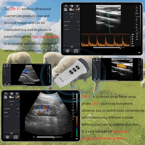 Analizzatore senza fili di ultrasuono con le sonde doppie per la diagnostica veterinaria degli animali sui dispositivi mobili