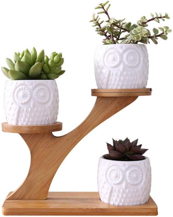 XUDREZ Owl Succulent Pots