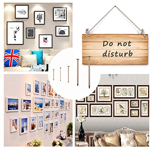 Omotool Brass Plated Nail Assortment Kit (300Pcs), Wall Pins Tacks Nails For Hanging Pictures And Woodworking, 5 Size Assortment #TOP5