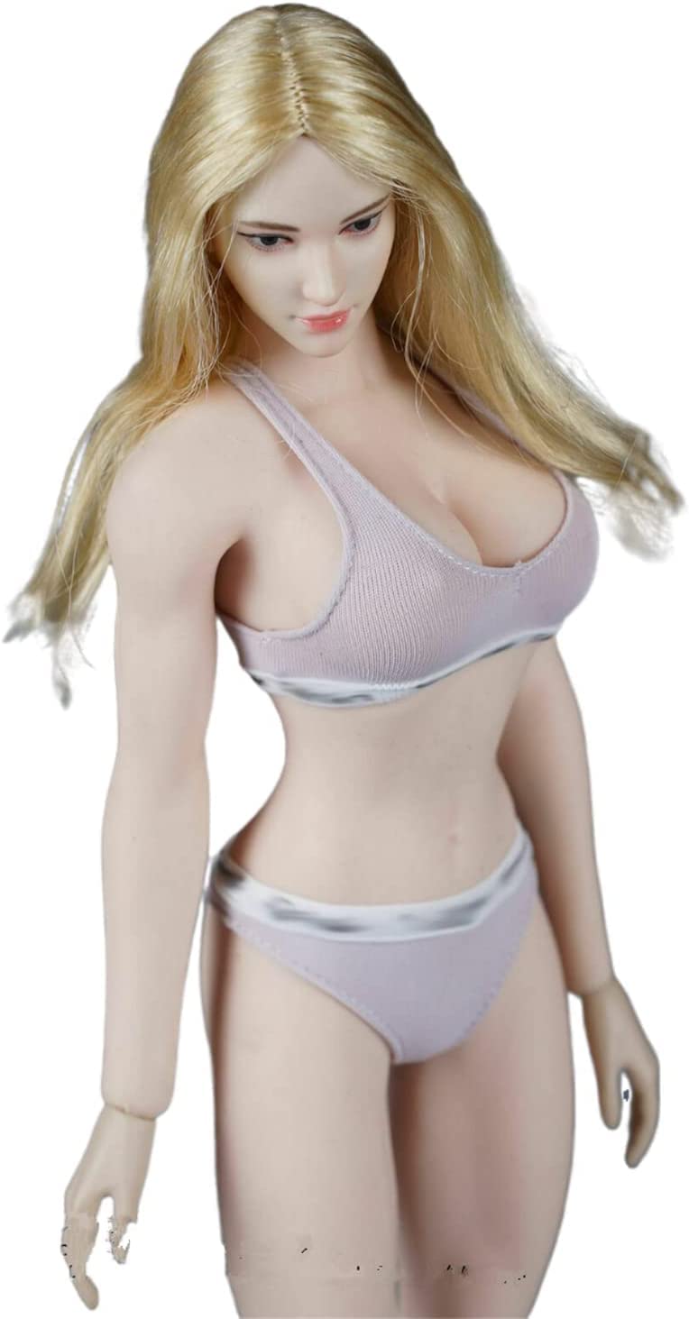 1/6 Scale Female Clothes, Handmade Costume, Asian Beauty Bras Underwear Clothing Set Model Purple Color for 12inches TBLeague/PH/JO Seamless Figure Body