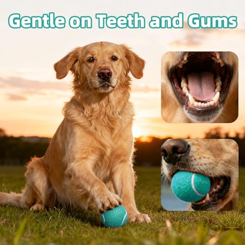 Image of Sunraymascota 24-Pack Tennis Balls for Dogs Fetch Toy for Beginner Practice