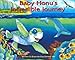 Baby Honu's Incredible Journey