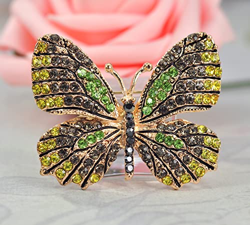 Image of Gyn&Joy Multi-Color Crystal Rhinestone Winged Butterfly Pin Brooch BZ030