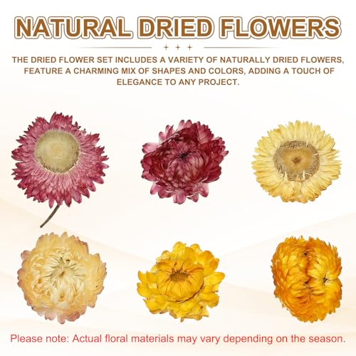uxcell Set natural de flores secas prensadas miniatura 3