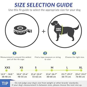 Slowton Dog Life Jacket Adjustable Ripstop Dog Life Vest with One Piece Belly Support Superior Buoyancy Skinfriendly Neoprene Pet Safety Flotation Vest for Swimming Boating Pool Beachyellowl  Cucciolini Doodles Slowton dog life jacket adjustable ripstop dog life vest with one piece belly support superior buoyancy skin friendly neoprene pet safety flotation vest for swimming boating pool beachyellowl   cucciolini doodles
