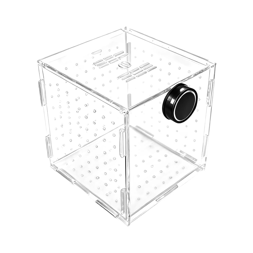 Caja de cría de peces, contenedor acrílico de aislamiento de peces, incubadora de acuarios con fijación magnética para peces y camarones