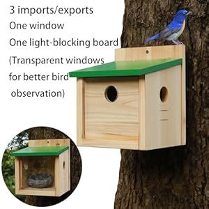 Starswrbirdhouselargebluebirdhousefeederoutdoormealwormsfeederforbluebirdwithviewingwindowwitheasycleanremovabledooroutsidehangingbirdhouses Urban Country Home Decor Starswr bird house large bluebird house feeder outdoor mealworms feeder for bluebird with viewing windowwith easy clean removable door outside hanging birdhouses urban country home decor