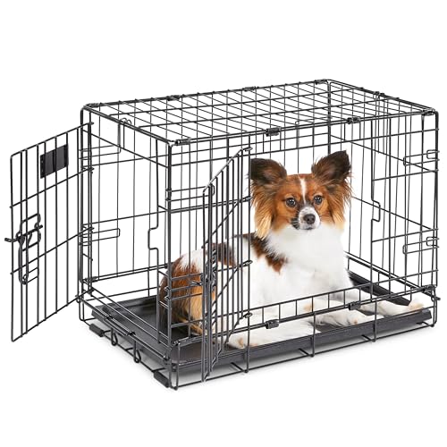 MidWest Homes for Pets 22-Inch iCrate for Extra-Small Breeds, Up to 15 lbs, Double Door Folding Dog...