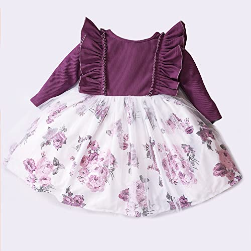 Image of OMALI Baby Girl Dungry Dress | Long Sleeve | Infant Casual Dress | Ruffle Print Clothes