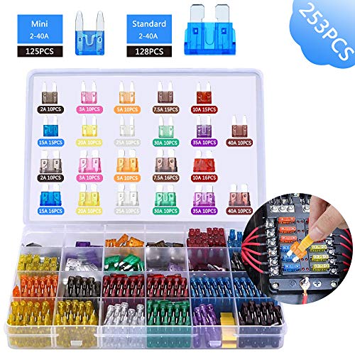 BOZHZO 253pcs Fusibili auto, Mini Medio Fusibili auto set, di fusibili mini lama(2A 3A 5A 7.5A 10A 15A 20A 25A 30A 35A 40A) Con una Piccola Clip per la Sostituzione dei Fusibili