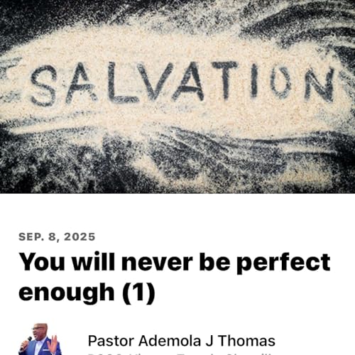 You will never be perfect enough (1) Podcast Por arte de portada